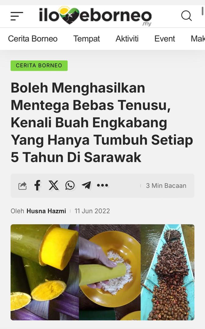 Mentega Tenusu Article